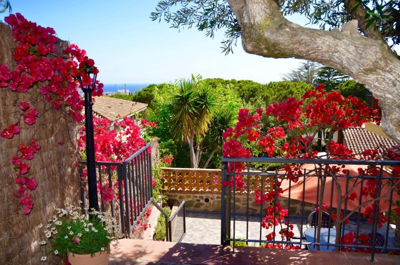 Arts House - Cabrils, Maresme, Barcelona Διαμέρισμα Εξωτερικό φωτογραφία